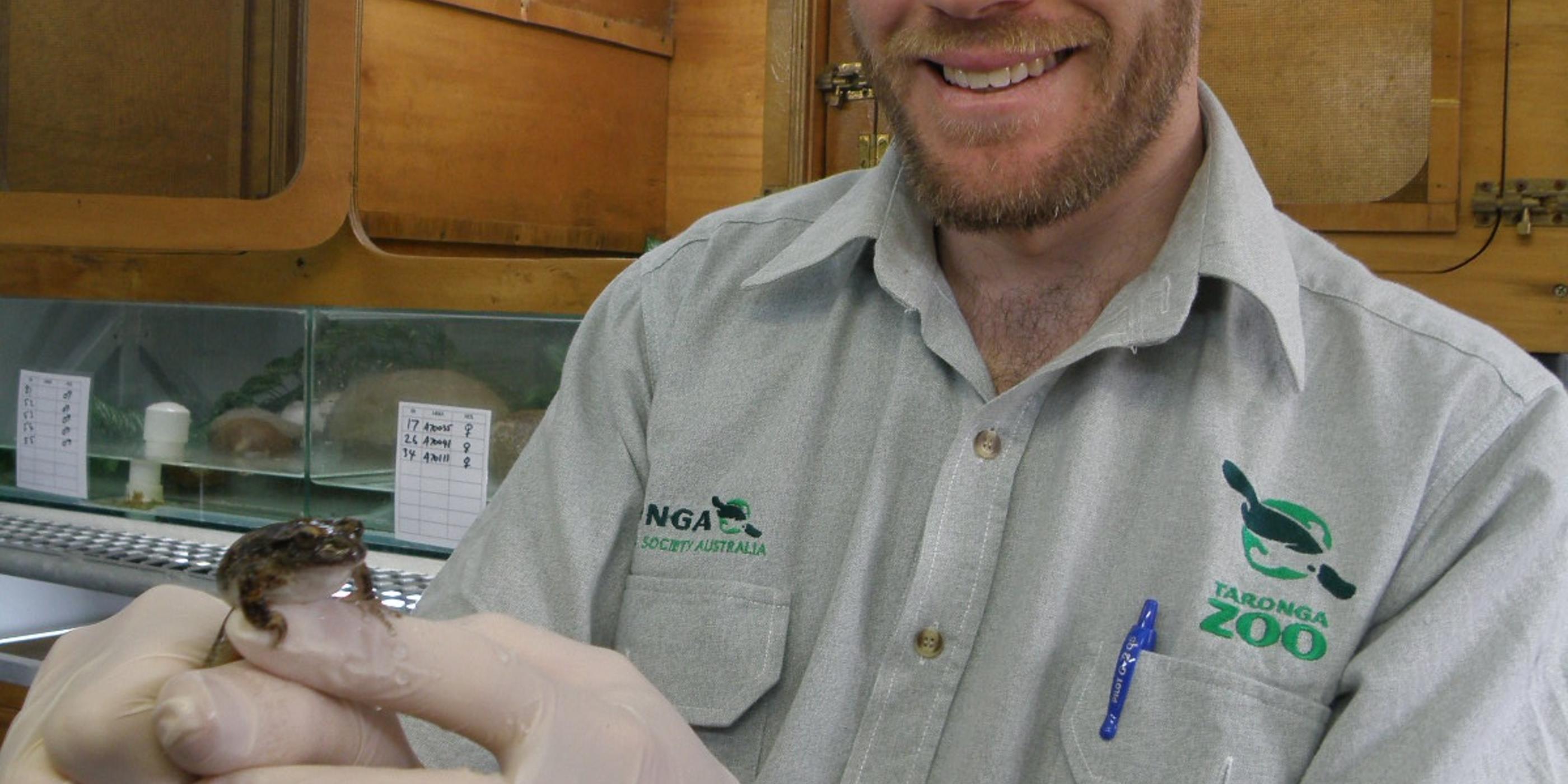 Caring for Taronga's Critically Endangered Frogs