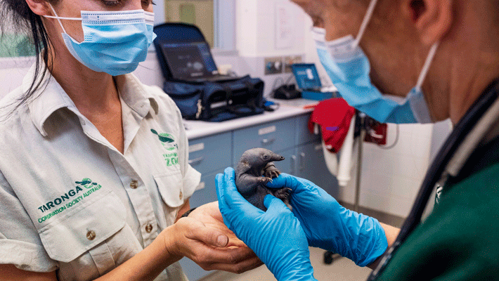 image-block-4